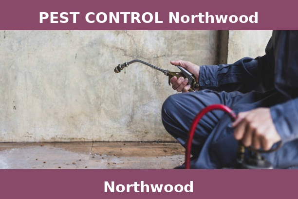 PEST CONTROL Northwood